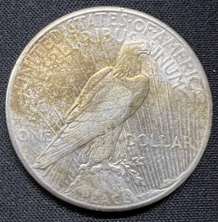 1924-S Peace Dollar reverse close-up showing the S mint mark below eagle tail feathers