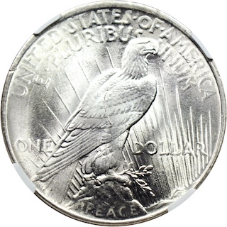 1924 Peace Dollar VAM-5A Broken Wing variety showing die crack through the eagle's wing on reverse
