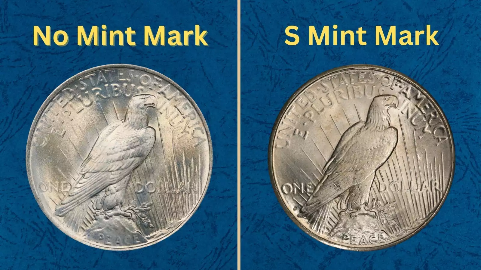 Group of 1924 Peace Dollar specimens showing Philadelphia and San Francisco mint examples in various grades
